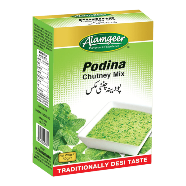 Podina Chutney Mix
