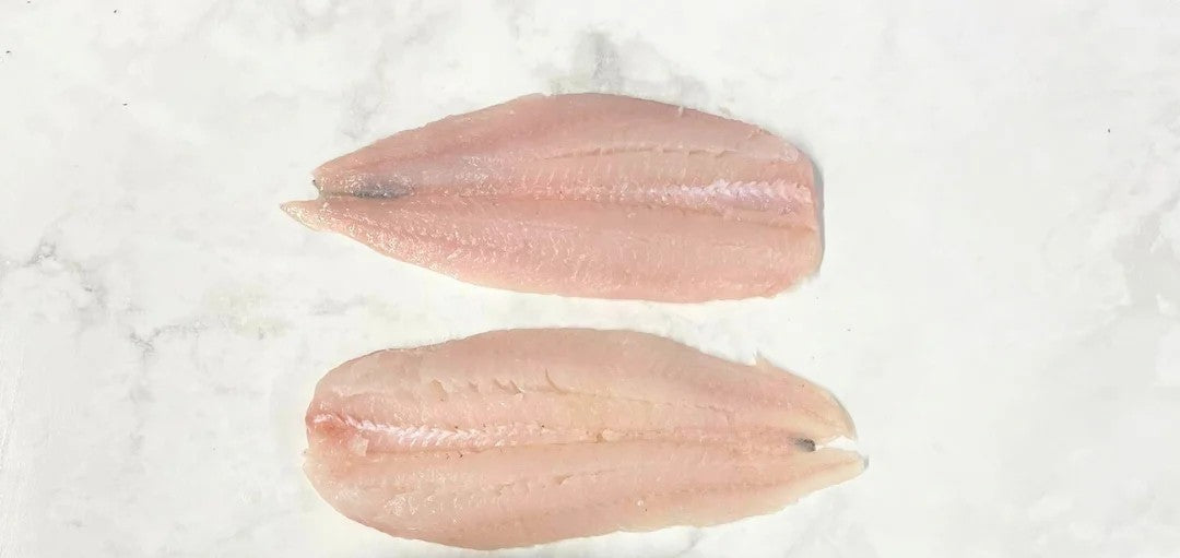Haddock Fish Medium Size