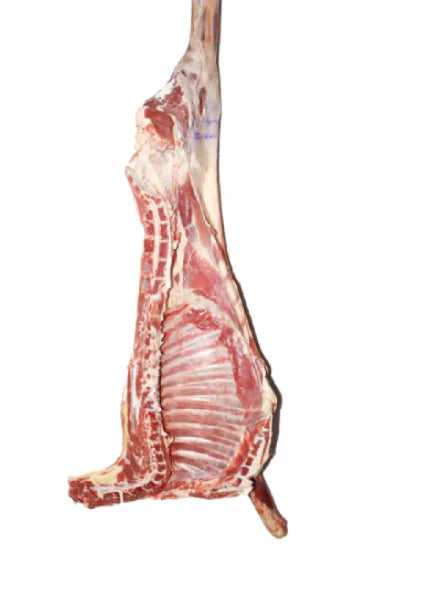 Spring Lamb Half 10 Kg